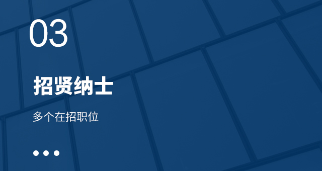 分类3